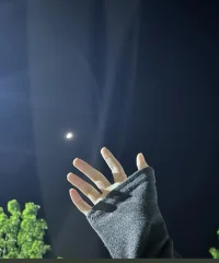 新鮮感真好，無話不說，消息秒回，語言溫柔，說到做到，錯了也會低頭，沒錯也會哄，但是人與人之間關系很微妙，剛開始的時候真的很熱情，得到之后，卻越來越冷漠，從剛開始的分享日常，報告行蹤，到后來的消息不回，語言敷衍，你總以為是相處久了，人變了，但其實不是人變了，而且新鮮感過了，面具掉了…也就移情別戀了～配圖