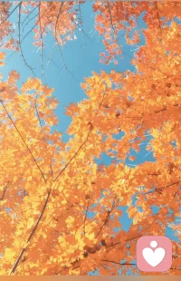 在这复杂的世界里，一定要懂得保护自己，知道的不全说，听的不全信，合理装傻，但永远清醒…