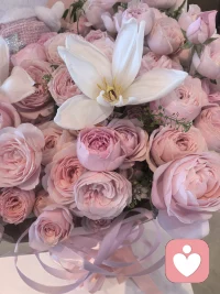 无爱一身轻，爱了变神经，智者不入爱河，愚者重蹈覆辙。记住：奔赴要值得，放弃要利落；不消耗自己，也不耽误别人。宁可喝53℃的酒，也不要轻易地去碰37℃的手！