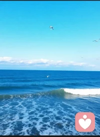 一个人时，是兵也是将～无依无靠时，自己就是千军万马～配图