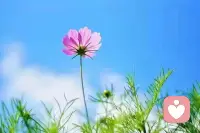 再合適的兩個人，如果不去關心，慢慢就陌生了；再深的感情不去呵護，慢慢就淡了。冷落久了，習慣了，以后就真的再也不需要了。下雨天影子都會離開，更何況人心呢！配圖