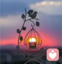 能感动人心的，永远不是语言，而是行动
能始终如一的，永远不是虚伪的热情
而是最真诚的付出和陪伴配图