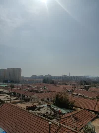 37歲的我，遠(yuǎn)嫁他鄉(xiāng)，現(xiàn)在過(guò)的特別身心疲憊，兩個(gè)孩子，都是我一手帶大，公婆從來(lái)不幫，也不心疼他們的兒子。而當(dāng)初24歲的我，就覺(jué)得只要勤快善良，就會(huì)好起來(lái)。
可現(xiàn)在看，不是的。那是我自己以為的。
因?yàn)槔郏覀兎蚱揸P(guān)系緊張。老公看著老實(shí)卻性格固執(zhí)。不會(huì)教育孩子也不懂夫妻相處。我給她說(shuō)很多，他就覺(jué)得很煩。我讓他拿主意，他又不會(huì)。唉，因?yàn)樗宦?tīng)勸，固執(zhí)，弄的我更累。
我想娘家吧，可娘家也是一堆事，娘家哥哥出事，我要為了父母去哄嫂子侄女。就這樣七八年這樣活著。為了父母，為了孩子，為了老公，我活的好累，
我也想不這樣，可做不到狠心，現(xiàn)在娘家安穩(wěn)了，我卻覺(jué)得自己一事無(wú)成，沒(méi)了身材和容貌，沒(méi)了工作，老公嫌我嘮叨，嫌我整個(gè)人。卻忘了如果不是我放棄工作留守照顧孩子，他能安心上班。靠他那個(gè)狠心自私的父母嗎。
我想到自己一心一意為的這個(gè)男人，卻十幾年以后嫌棄我，我的心就疼的無(wú)法呼吸了。當(dāng)初我還傻傻的以為他只是不會(huì)表達(dá)而已。
我想回娘家，娘家人以為我還是小時(shí)候那樣，任性，發(fā)脾氣的小女孩。卻不知道長(zhǎng)大了，結(jié)婚后，愛(ài)上一個(gè)人，我改變了很多，為了不讓父母擔(dān)心，我承受了很多。
為了孩子，我就應(yīng)該就在這里繼續(xù)這樣嗎
還是我只帶走一個(gè)孩子，我很矛盾，不舍得孩子。
可這個(gè)城市，留給我的只有難過(guò)。我也不想再見(jiàn)他父母，即使他們老了不找我事了，可我看到他們就難受，就會(huì)想到他們帶給我，我的家庭的傷害。我可以不計(jì)較，不吵不鬧，可我做不到像沒(méi)事人一樣和她們聊天說(shuō)話。
因?yàn)槲液屠瞎年P(guān)心緊張，影響了大女兒。這也是我很痛苦的事情。當(dāng)初我告訴老公，既然你父母不幫，我們就自己努力爭(zhēng)氣點(diǎn)。不用他們，畢竟是老人，吵起來(lái)總是被人說(shuō)晚輩不對(duì)。所以改變不了他們，就強(qiáng)大自己。可他都懂。還拼命讓我生個(gè)老二。還非要折騰開(kāi)個(gè)小吃店。趕上疫情三年，可想而知，這四口人過(guò)的更辛苦，吵架也就更多了。
很多次我想結(jié)束自己，可我是清醒的，我有責(zé)任，孩子來(lái)到這個(gè)世界上有什么錯(cuò)呢。我，就連死的資格都沒(méi)有。死容易啊，可孩子們?cè)趺崔k，誰(shuí)能像我這么心疼他們，無(wú)微不至照顧她們，給他們做各種好吃的飯菜。
可我到底離不離開(kāi)這個(gè)遠(yuǎn)嫁的城市呢
我又沒(méi)辦法在接納老公，即使他現(xiàn)在口口聲聲說(shuō)自己幾年前那樣嫌棄我不對(duì)，他的錯(cuò)。他會(huì)改，可我就是不信任他了。
給娘家人說(shuō)，他們又還是說(shuō)孩子怎么辦，上學(xué)怎么辦，
把我問(wèn)的回答不上來(lái)，
我也不知道。怎么辦了。
如果我有一個(gè)孩子，我不猶豫。配圖