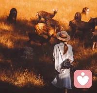 人生不易，生活很難，家家都有難念的經，人人都有辛酸的淚，沒人知道，痛苦會在哪個時段出現，也沒人清楚，煩惱會在哪個地方出現，我們能做的，就是做好自己，珍惜擁有。配圖