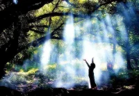 如何讓我們完整？
      當(dāng)我問自己：我在哪里?我是在當(dāng)下和我自己同在的嗎?我完全地在我身體里嗎?我和我的靈魂在一起嗎?我和我的靈性在一起嗎?我以不同的方式存在于我的身體里嗎?我以不同的方式存在于我的靈魂里嗎?我以不同的方式存在于我的靈性里嗎?配圖