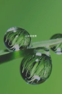 改變不了過去，抓不住未來，但很幸運我可以擁有當下。配圖