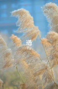 能給世界帶來(lái)無(wú)限美好的事，就是堅(jiān)持做自己。配圖