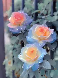 你是万物之源，你配得上世间一切美好！
1、自己才是万物的根源。
你积极乐观，世界阳光明媚；
你消极低沉，世界阴雨连绵。
2、痛苦源于想改变别人。
过分关注他人，痛苦烦恼自生。
要明白，一切都是最好的安排。
3、你变了，世界就变了。
不去改变别人，只是精修自己，自己境界高了，世界就不同了。
当一个人，不再执着于改变别人，不纠结于外物，才是真正的觉醒！你才是万物之源，你配得上世间一切美好！