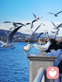 把自己活成一道光
因為你不知道
誰會借著你的光
走出了黑暗
請保持心中的善良
因為你不知道
誰會借著你的善良
走出絕望
請保持你心中的信仰
因為你不知道
誰會借著你的信仰
走出迷茫配圖