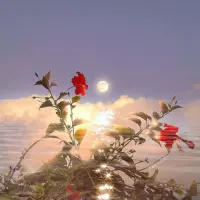 事實(shí)上，當(dāng)別人對(duì)你抱怨時(shí)，你越想好心相勸，他們?cè)綍?huì)絮絮叨叨地說(shuō)個(gè)沒(méi)完?？擅艿氖牵绻阋坏?duì)他們的悲嘆表示認(rèn)同，他們反倒很快就泄氣了。

人之所以牢騷滿腹抱怨個(gè)沒(méi)完，一般是因?yàn)樗麄儫┰瓴话玻狈Π踩?。如果你試圖幫助他們，他們會(huì)覺(jué)得你在批評(píng)他們，因?yàn)槟愕慕ㄗh就意味著他們處事不當(dāng)。相反，如果你認(rèn)同他們并能加以贊賞的話，就無(wú)異給他們注入了“強(qiáng)心劑”，于是他們往往就會(huì)釋然并安靜下來(lái)。

——《伯恩斯新情緒療法》配圖