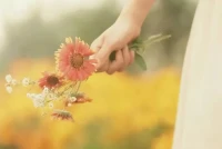 把現(xiàn)實放在夢里，做不做都會遇見清醒；
把種子埋在土里，見不見都會向陽而生。配圖