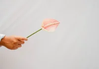 可能沒有一個關鍵詞，比「健康」，更能夠代表我們對2023年的期望和希冀。配圖