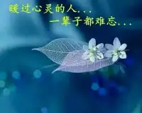 情人節……
并不是讓你去找個情人，
而是做一個有情的人，
對天地有敬畏之情，
對蒼生有悲憫之情，
對長輩有敬孝之情，
對幼小有憐愛之情，
在這個物欲橫流的世界上，
重要的不在于你有沒有情人，
而在于你是不是一個有情義的人…配圖