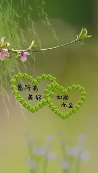 最美好的生活方式，莫過于和一群志同道合的人奔跑在理想的路上！
回頭，有一路的故事；低頭，有堅定的腳步；抬頭，有清晰的遠方。配圖