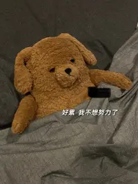 生活不必每時(shí)每刻都要沖刺，低沉?xí)r，就當(dāng)給自己放了一個(gè)悠長(zhǎng)假期。配圖