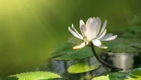 世上，沒有既安逸又精彩的人生，美好前程都是血汗打下來的。配圖
