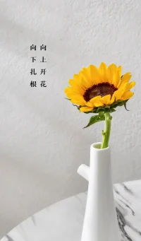 若有美好藏于心，歲月從不敗美人。配圖