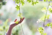 你的好，要給值得的人；對你好的人，不要辜負他的深情厚誼。配圖