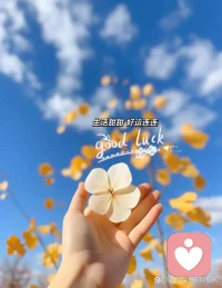 如果生活一定要加點(diǎn)什么東西的話
那就加點(diǎn)健康和好運(yùn)吧配圖