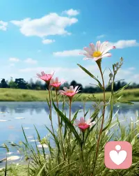 在平凡的日子里，我倾心于世界的细微美好。朝霞与落日，是岁月的诗篇；一草一木，皆为生活的色彩。配图