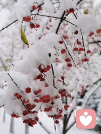 不觉年末将至，只愿尘事东安。配图