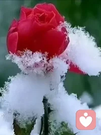 世事漫随流水，算来一梦浮生。配图