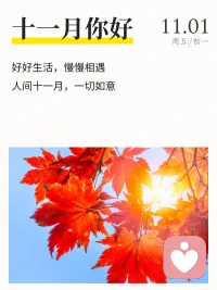 11 月，愿你的生活充滿陽光和歡笑。配圖