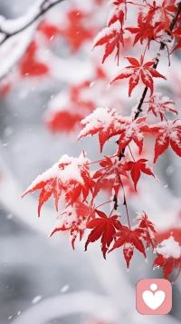 北風改變了山的顏色
待到紅葉與初雪相逢
冬日的氣息便已彌漫配圖