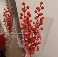何其有幸，年岁并进，
新一年继续看世界，
也找自己，自由且快乐。配图