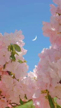 愛，不是一個抽象的名詞，接納自己、愛自己、對自己慈悲，這是一個動詞，是一種行動。配圖