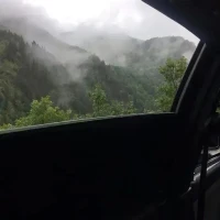 致虛極，守靜篤。
                         -《道德經》配圖