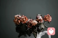 心理研究發現，看悲慘的影片時，我們的大腦會分泌催產素，它也被稱為“擁抱激素”、“愛的激素”。配圖