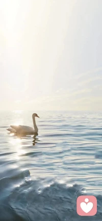 大道至簡，只有一步步做好你想做的事情，你想要的成功、快樂，都會出現(xiàn)。配圖