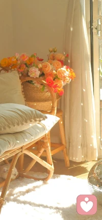 除了生病以外，你所感受到的痛苦，都是你的價值觀帶來給你的，而非真實存在。    —米蘭昆德拉配圖