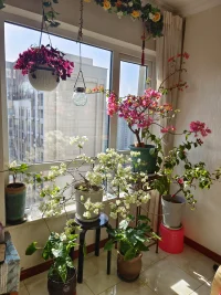 通透，是認真做事的態度
你把別人放在心上，別人才能把你放在心上
隨遇而安，不好高騖遠，不好大喜功
始終保持穩重平和的心態
通透，是云淡風輕的灑脫
貧而不躁，富而不驕配圖