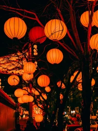 世界上只有三種事：
自己的事,別人的事,老天的事
對(duì)自己的事盡力,對(duì)別人的事尊重,對(duì)老天的事順從
人與人之間有那么多的矛盾和沖突,很大一部分是因?yàn)槌搅俗约航缦?把別人的事情當(dāng)成自己的事情背負(fù)著;或者把自己的事當(dāng)成別人的事,要?jiǎng)e人承擔(dān),結(jié)果任誰都不舒服
元宵節(jié)快樂！配圖