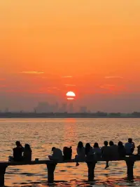 都知道金子會(huì)發(fā)光，但大部分人都在想怎么發(fā)光，很少有人在想如何成為金子配圖