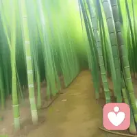 生活有時像是一場雨，雖然陰霾，但總會過去。每一滴雨滴都是成長的力量，使我們變得更堅強。記住，陽光總會照耀在未來的日子里。在黑暗中，你也可以是自己的光。相信自己，勇敢前行，你會發現生活的美好。配圖