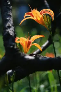 生命的根本需求是渴望被看見配圖