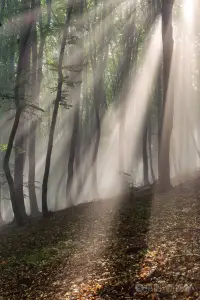 萬(wàn)物皆有裂痕,那是光照進(jìn)來(lái)的地方---萊昂納德·科恩配圖