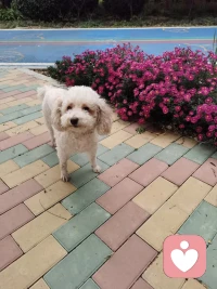 被物欲剝奪了生命的享受，實(shí)際上是怠慢了自己生命真正的需要，也等于剝奪了生命本身廣闊的體驗(yàn)和價(jià)值。配圖