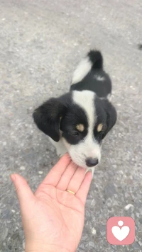 [愛心]
真正對自己好的，
會把自己放在首位。

把精力和心神
用在喜歡的人和滋養(yǎng)你的事上，
把好情緒好耐心
用在自己身上，
自身價值提升，
內在氣場變好，
自然會吸引好的關系和好事。 ? ???配圖