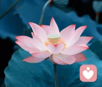 夫妻之間在尊重彼此觀點和需要的前提下，去就事論事地討論，盡量達成一個雙方都能接受的折中狀態，做到求同存異的問題處理方式，不僅能幫助他們解決沖突，而且父母用這樣的方式來解決問題的過程本身，也會成為孩子日后效仿的典范和人生財富。配圖