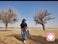 如果秋風正好
?如果風里飄香
?一定要走進秋風里??配圖