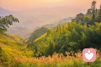 心理咨詢師的類型有五種：一是教導(dǎo)型的咨詢師，面對來訪者的問題，咨詢師像個老師一樣，充當(dāng)英雄，滔滔不絕地給來訪者說應(yīng)該這么做、應(yīng)該那么做，給方法，提建議。第二種是討好型的咨詢師。以來訪者的快樂為目標(biāo)，每次來訪者來了想說什么就說什么，咨詢師也和來訪者聊得很開心，來訪者只快樂不成長！第三種是自戀型的咨詢師。自己覺得什么問題都能解決，淡化來訪者的問題，夸夸其談，滿嘴的心理名詞，炫耀自己。第四種是溫暖陪伴的咨詢師。真誠，尊重，共情，陪伴來訪者面對問題，雖然不是盯著來訪者的問題，但在溫暖的關(guān)系中讓來訪者獲得療愈，但過程可能會慢些。第五種是驅(qū)動賦能型的咨詢師，這種咨詢師也是真誠、尊重、共情的基礎(chǔ)上讓來訪者感受到一種力量，陪伴來訪者的弱小感和無力感，在灌注希望中通過成長讓來訪者獲得療愈！
     后兩種咨詢師屬于專業(yè)助人的咨詢師，會在咨詢中讓來訪者產(chǎn)生最終的成長，獲得最佳的療愈！
?配圖