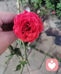 當(dāng)你想要開啟一段心理咨詢時，內(nèi)心有不安和忐忑是正常的，這是我們所有人在面對一個未知的事物時的本能反應(yīng)。配圖