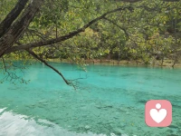 我查咨詢記錄，有個父親是病因的發(fā)現(xiàn)：
父親偏執(zhí)（與孩子的對話中常用語言是：“你必須、你應該、你不對、你總是”）+情緒不穩(wěn)定，女孩子在初一、初二很容易出現(xiàn)抑郁癥。偏執(zhí)讓孩子的自主性發(fā)展困難，父親的情緒不穩(wěn)讓孩子的安全感長期受到威脅。母親是病因，以及夫妻關系是病因的都有一些規(guī)律性發(fā)現(xiàn)。現(xiàn)在大家不動手打孩子了，但語音暴力和態(tài)度暴力還是普遍存在的。?孩子的情感感受力很好，都能感受到，他們?nèi)匀皇侨f箭穿心。配圖