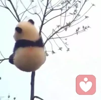 你總是期待對方給你更多
那么你的失望會越來越大
但如果你只期待成長自己
那但凡對方哪一方面做的稍微好一點
對你來說都是一種驚喜
你愿意等一等嗎？配圖