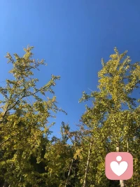 ?刪繁就簡，自在清歡。
你心里裝的什么，你的世界就會是什么樣子。你的世界是什么樣子，我看到的就是什么樣子的你。“?累”和“不快樂”是因為你該丟的沒丟。配圖