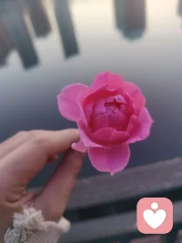 父母有心理學頭腦，重視孩子的感受和體驗，提供無條件積極關注、信任、支持、肯定、欣賞，這才是孩子需要的真愛。配圖